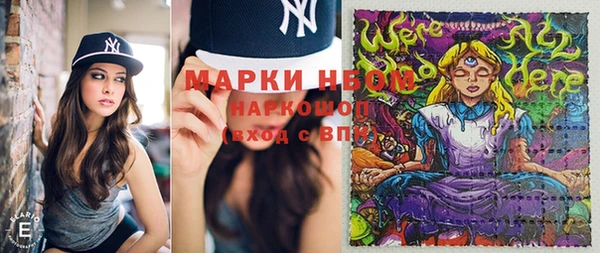 дживик Белокуриха