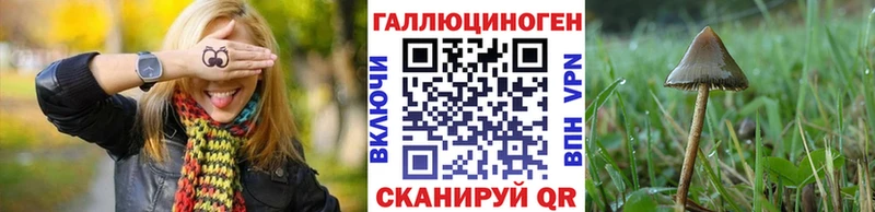 Псилоцибиновые грибы прущие грибы  цена   Шиханы 